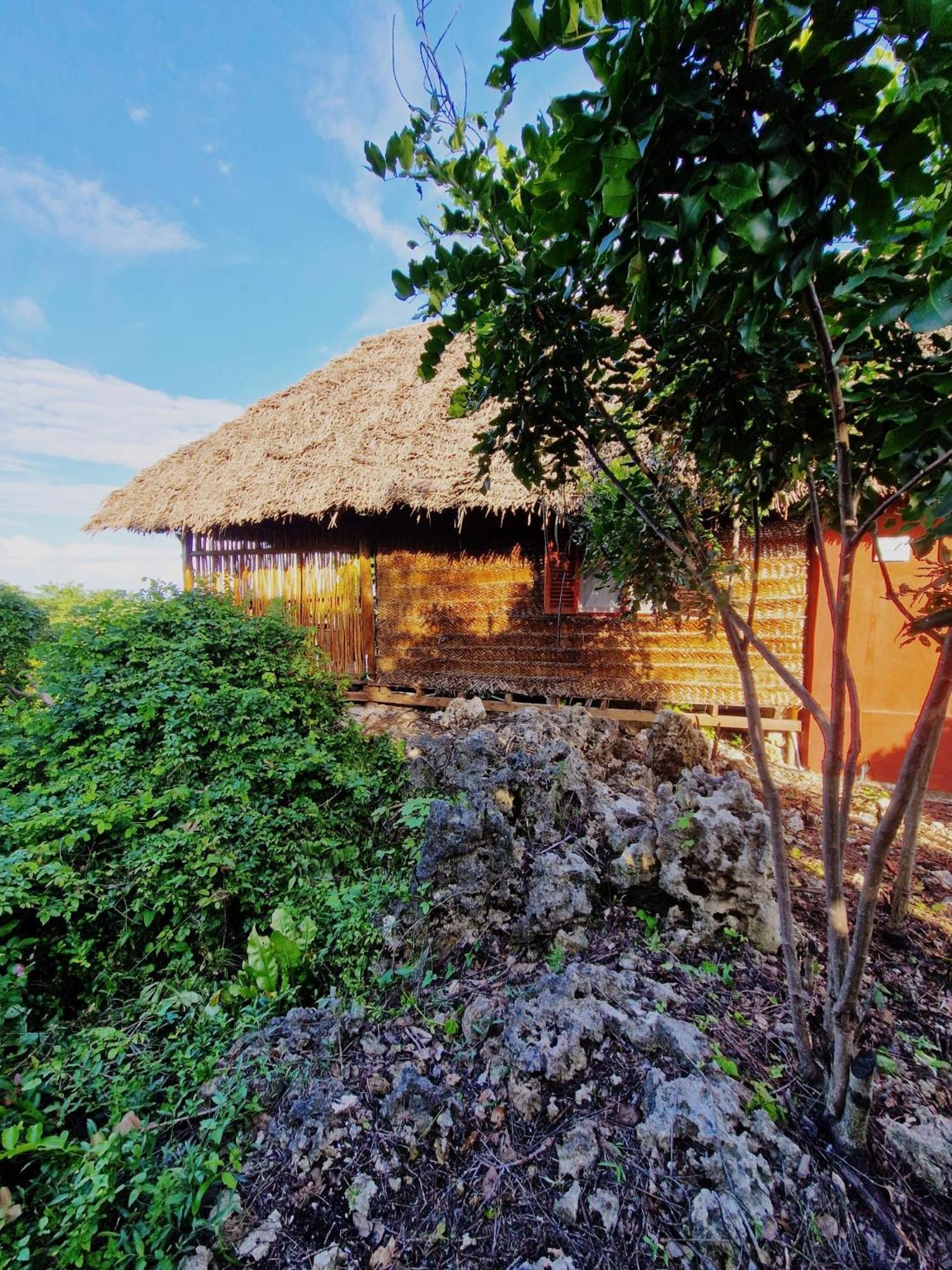 Mtende Monkey Mountain Lodge מראה חיצוני תמונה